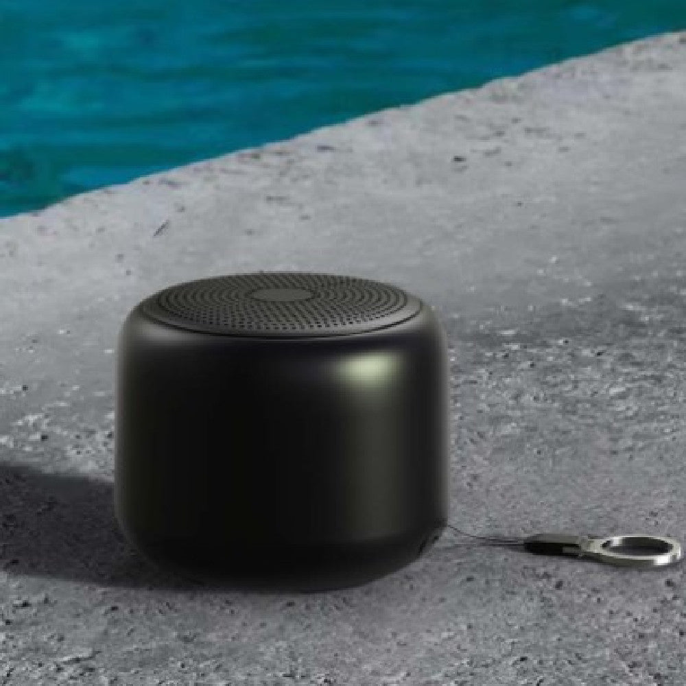 Portable Wireless Bluetooth Speaker, IPX7 Waterproof, 10 Hours, WBS01