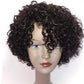 Human Hair Wigs 10 inch Short Kinky Curly Brazilian Wigs For Black Women Short Wigs No Lace Front Natural Color